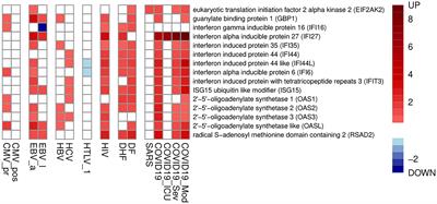 Transcriptome-based analysis of human peripheral blood reveals regulators of immune response in different viral infections